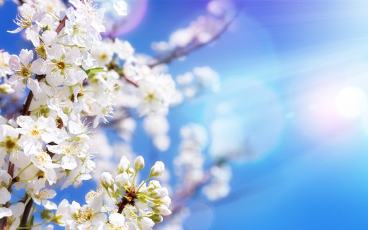 1323623 (a): :2880x1800